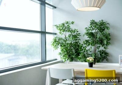 筹码管理进阶指南：捕鱼达人下载助你理性游戏
