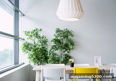 掌握空间优势：捕鱼达人下载带你解锁桌游炮台决胜策略