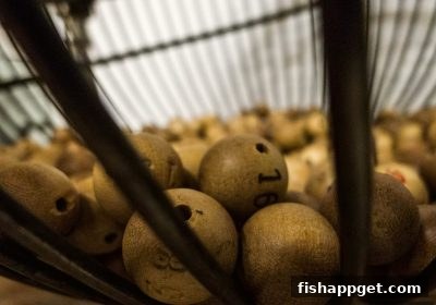 捕鱼达人下载平台探秘：麻将胡了玩法中复式与单式选号策略全解析