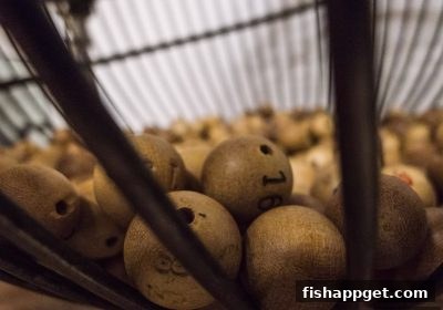 TRC20充值彩票游戏的社会文化效应深度解析：捕鱼达人下载视角