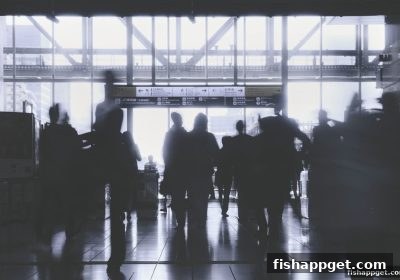 捕鱼达人下载后，解锁乐鱼平台数字游戏的全方位指南