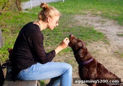 捕鱼达人下载充值优惠没到账？别慌，这里有一份自助排查与解决指南
