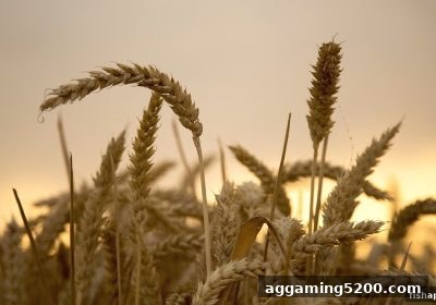 捕鱼达人下载：签到奖励秒提现的完整操作手册