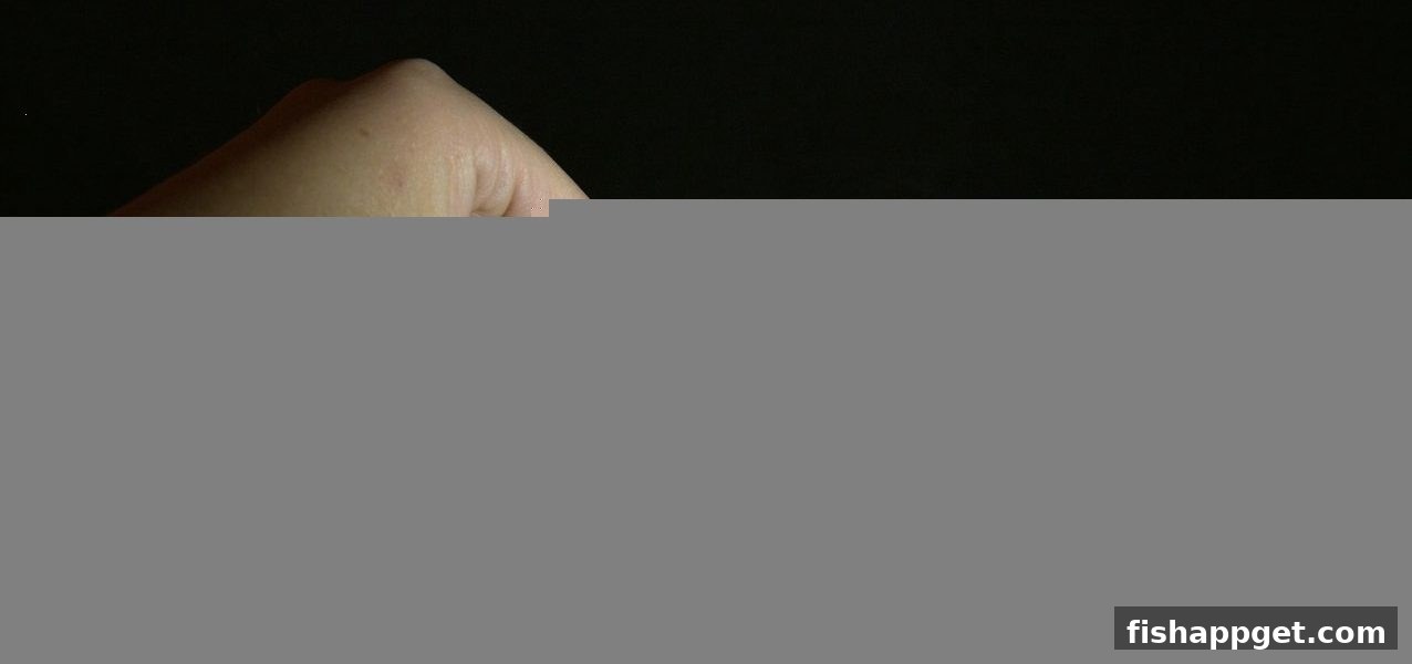 捕鱼达人下载：破解老虎机心理博弈与策略升级的终极指南